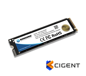 דיסק M.2 NVMe פנימי מוצפן - Kanguru Defender SED300™ with Cigent FIPS 140-2 Certified