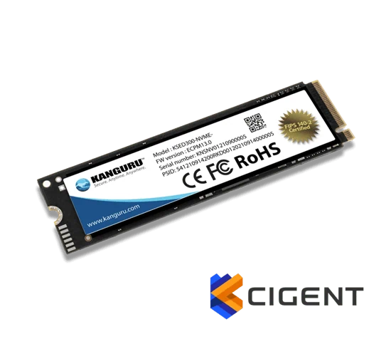 דיסק M.2 NVMe פנימי מוצפן - Kanguru Defender SED300™ with Cigent FIPS 140-2 Certified